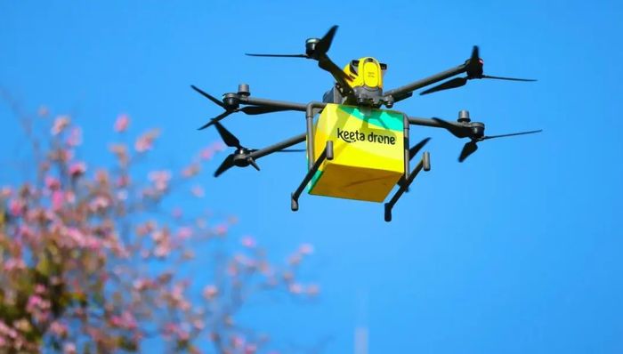 闪电仓行业深度剖析:兴起、挑战与前景